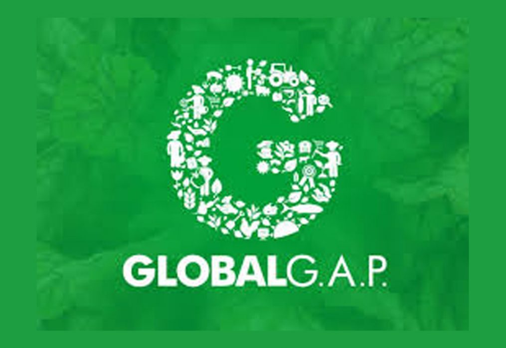 Good Agricultural Practices (Global GAP)